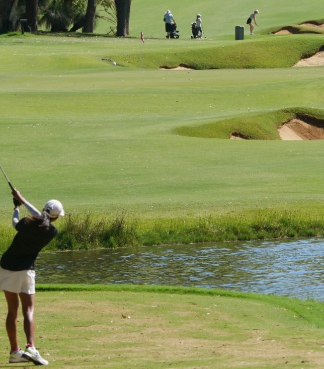 about-what-does-golfwa-do-image (2)