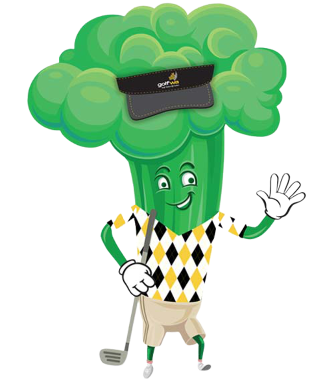 about-what-does-golfwa-do-image