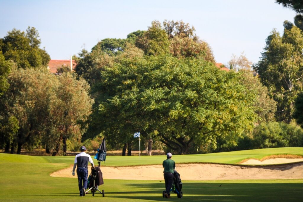 Collier Park redevelopment