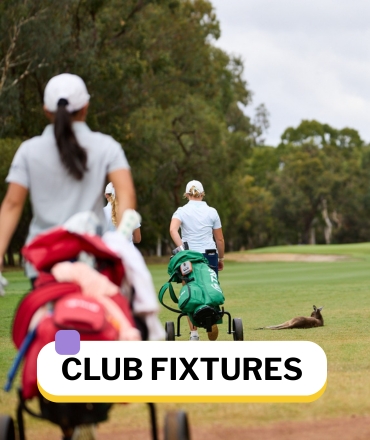 Small website tiles (5) Golf Club Fixtures